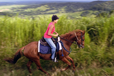 Australia-Queensland-Gold Rush Trail and  Beach Ride